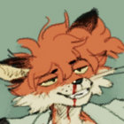 Aster thumbnail