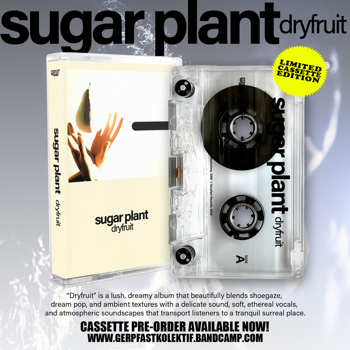 Dryfruit | Sugar Plant | Gerpfast Record