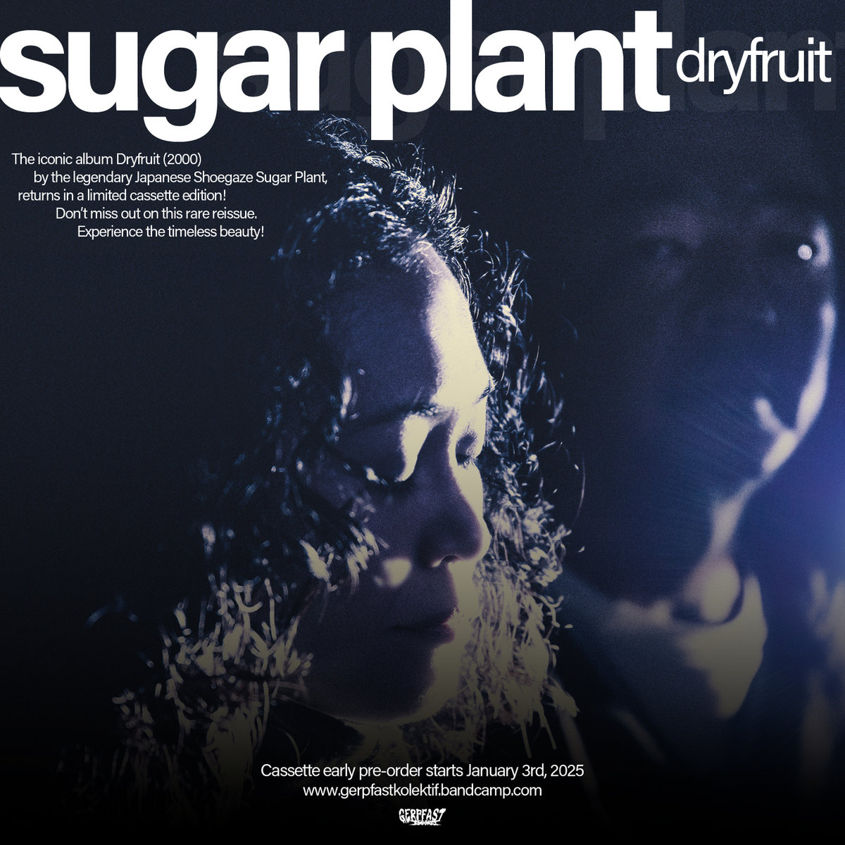Sugar Plant / dryfruit アルバムCD 31CDSW40FGL._SY200_QL15_.jpg
