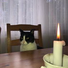 gunter6 thumbnail