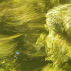Paul Rodwell thumbnail