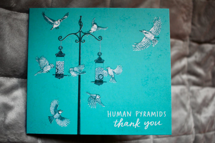 Thank You | Human Pyramids