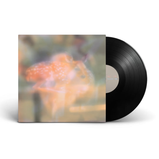 Soft Focus | pondlicker | naff recordings
