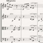 Small Medium Large | SML | International Anthem