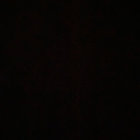 Griffin thumbnail