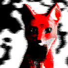 k_ttu thumbnail