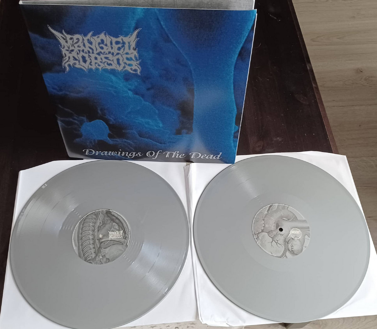 洋楽 Mangled torsos/drawing of the dead Mangled Torsos – Drawings Of The Dead | Releases | Discogs