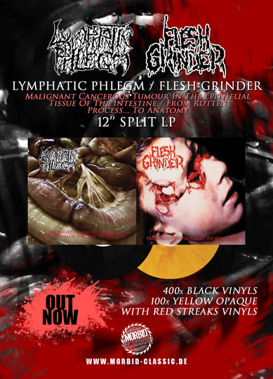 ゴアグライン〇LYMPHATIC PHLEGM 02年4-Way Split LYMPHATIC PHLEGM​/​FLESH GRINDER - Split | Flesh Grinder