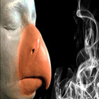 Aug thumbnail