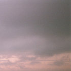 aboynat thumbnail