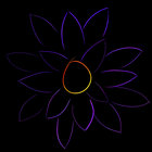 Camelliatheok thumbnail