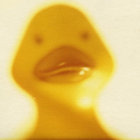 nixonsbody thumbnail