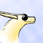 kaidacritter thumbnail