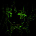 dollarhornet thumbnail