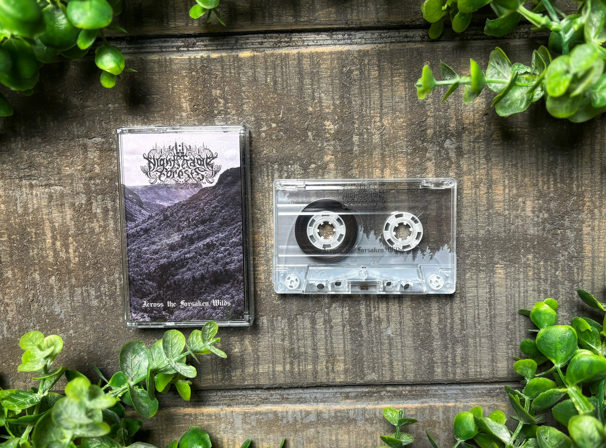 Across the Forsaken Wilds | Nightshade Forests | Fiadh