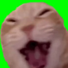 Kahvikeitin thumbnail