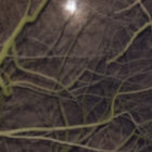 noborders8 thumbnail