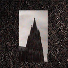 partiallongtermmemorysuppression thumbnail