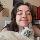 fernrejoicing thumbnail
