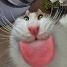 anbingwen thumbnail
