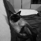 ivan1970 thumbnail