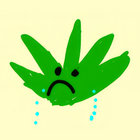 sugar_juli thumbnail