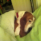 addison thumbnail