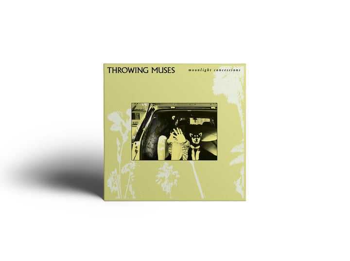 Moonlight Concessions | Throwing Muses
