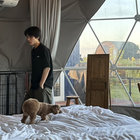 tailer_9119 thumbnail