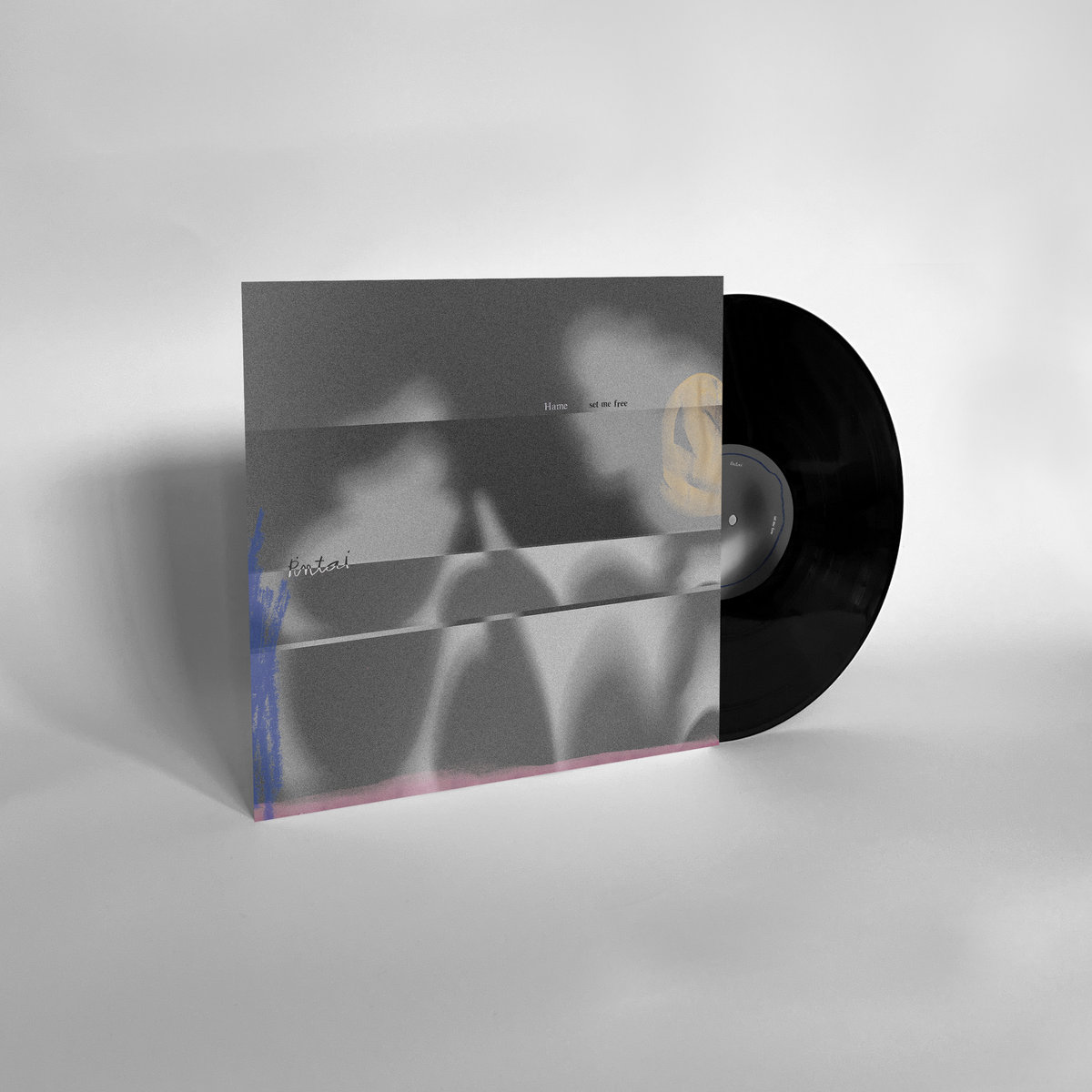 Set Me Free | Hame | Pintai