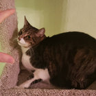 Kyle Meininger thumbnail