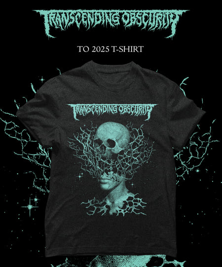 2025 Label Sampler | Transcending Obscurity Records