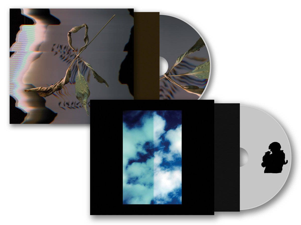 Every Life Is A Light | Joni Void