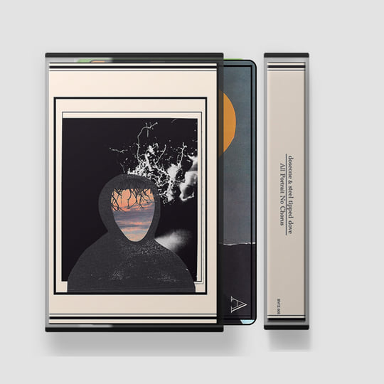 All Portrait, No Chorus | doseone & Steel Tipped Dove | doseone