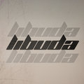 LIBUDA image