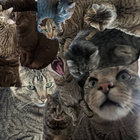 antigrub thumbnail