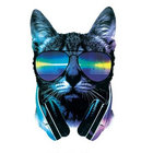AudioPhile thumbnail