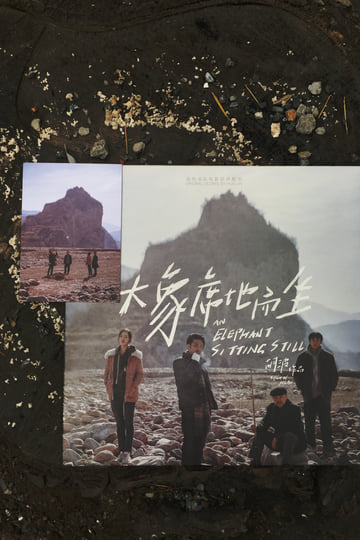 国内入手困難!象は静かに座っている サントラ LP レコード Hualun 花 国内入手困難!象は静かに座っている サントラ LP レコード Hualun 花