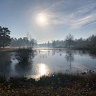 Meningsløsheten thumbnail