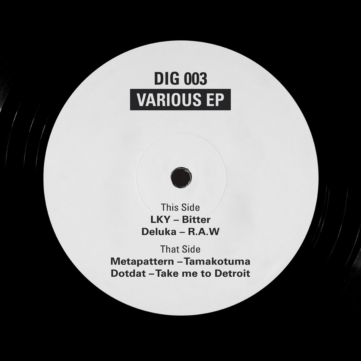 VARIOUS EP [DIG003] | Dust In Grooves