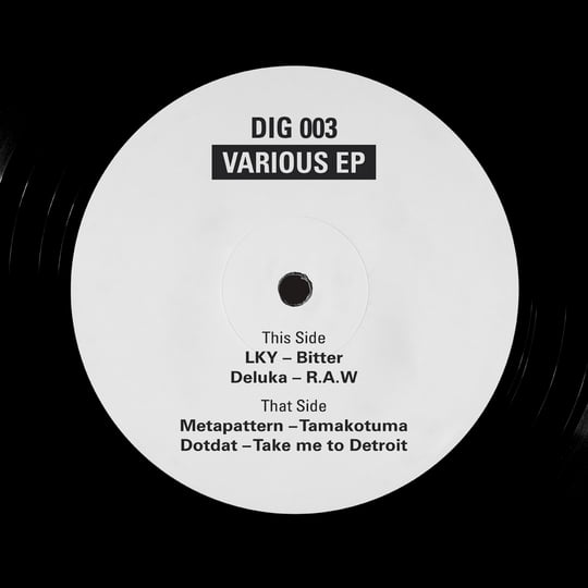 VARIOUS EP [DIG003] | Dust In Grooves