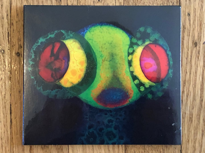 SORCS 80 | OSEES | Osees