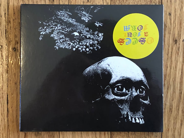 A Foul Form | Osees
