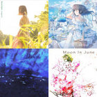 Moon In June「ロマンと水色の街」サイン入り「海鳴り」再発盤 Moon In June / ロマンと水色の街 | TESTCARD RECORDS