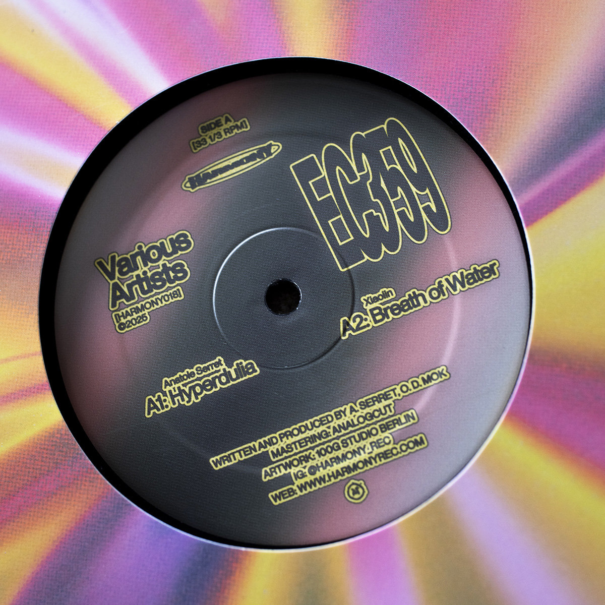 ミュージック Cavaliers Chronicles: A Digital Journey ミュージック