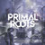 primalrootsband thumbnail
