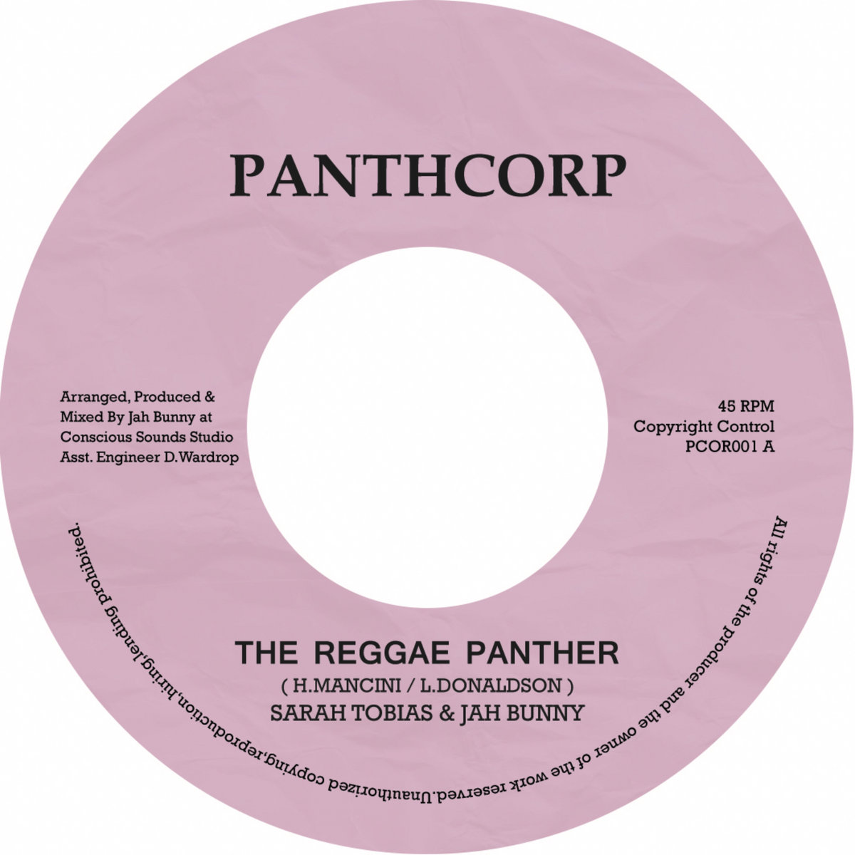 The Reggae Panther | Jah Bunny & Sarah Tobias | Partial Records