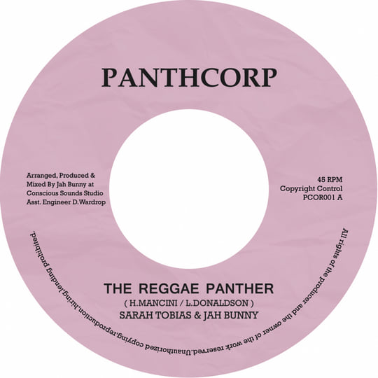 The Reggae Panther | Jah Bunny & Sarah Tobias | Partial Records