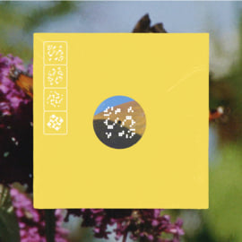 2LP, image 1