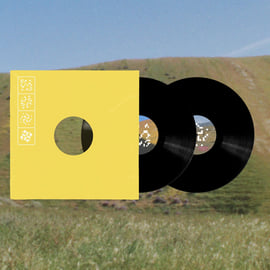 2LP, image 2